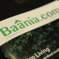 หางาน สมัครงาน Baania 1