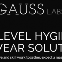 apply job Gauss Labs 1
