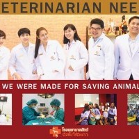 หางาน สมัครงาน Juscoratchada Animalhospital 3