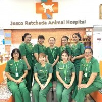 หางาน สมัครงาน Juscoratchada Animalhospital 6
