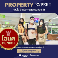 apply job Property Expert 2