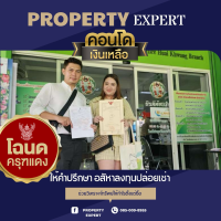 apply job Property Expert 1