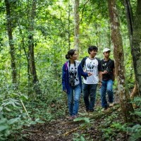 หางาน สมัครงาน WWF Greater Mekong Thailand 1