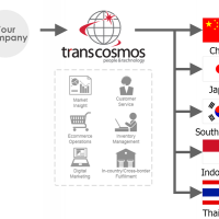 apply job Transcosmos Thailand 4