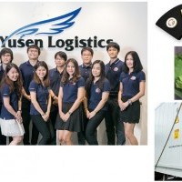 apply job Yusen Logistics Thailand 4