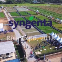 apply job Syngenta Crop Protection Limited 1
