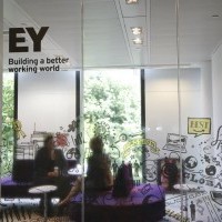 apply job Ernst & Young 8