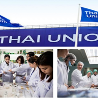 apply job Thai Union 2