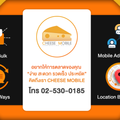 apply job Cheese Mobile 4