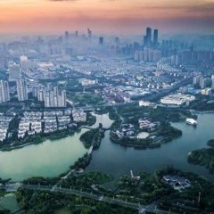 apply job Cushman Wakefield 4 apply job Cushman Wakefield 4