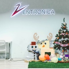 apply job Entronica 1