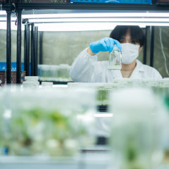 apply job Great Good Venture Lab 2