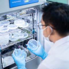 apply job Great Good Venture Lab 6