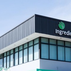หางาน สมัครงาน Ingredion 1