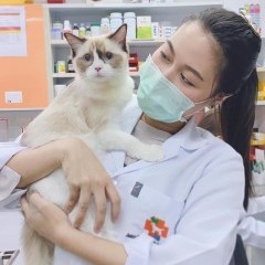 apply job Juscoratchada Animalhospital 5