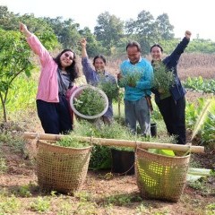 apply job K Agro innovate Institute 2