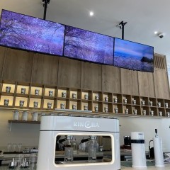 apply job Rincha Supplier 3