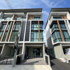 apply job the wisdom creative 1