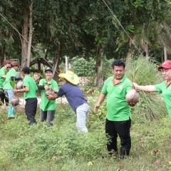 apply job Thep Padung Porn Coconut 7