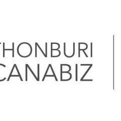 apply job Thonburi Cannabis 1