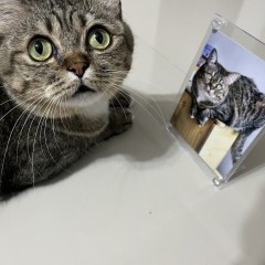 หางาน สมัครงาน บริษัท เวอร์ดานดี จำกัด 5