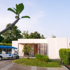 apply job Treenland 5