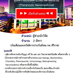 apply job Theranostic Nanomedicine Siriraj Hospital 2