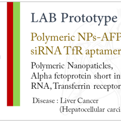 apply job Theranostic Nanomedicine Siriraj Hospital 5