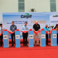 apply job Cargill 9