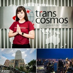 apply job Transcosmos Thailand 6