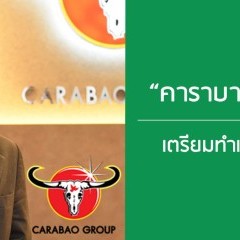 apply job carabao 5