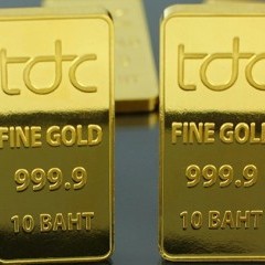 apply job T.D.C. Gold 4