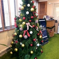 apply job S N FOOD AND BEVERAGE GROUP 1