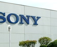 apply job Sony 7