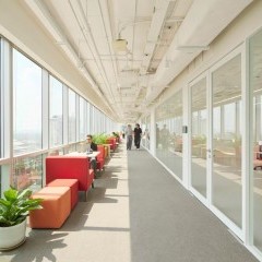 apply job Roche Thailand 4