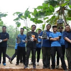 apply job Lucy Electric Thailand 4