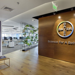 apply job Bayer Thai 2