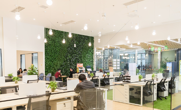 M Absolute Solution - Jobs, Reviews, Photos | WorkVenture