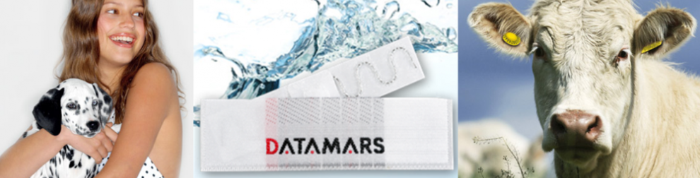 สมัครงาน บริษัท ดาต้ามาร์ ประเทศไทย จำกัด | สมัครงาน Datamars (Thailand ...