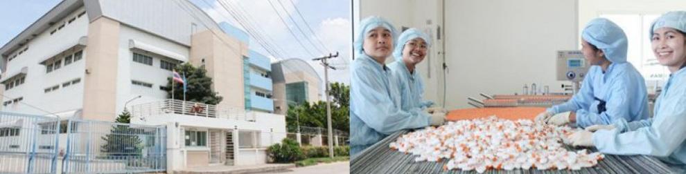 T P Drug Laboratories 1969 - Jobs, Reviews, Photos | WorkVenture