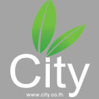 logo City International Trading