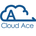 apply job Cloud Ace 1