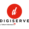 review Digiserve Corporation 1