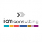 logo I Am Consulting Group