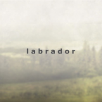 logo Labrador