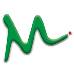 logo M Vision