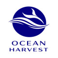 apply job Ocean Harvest 1