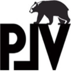 logo Polarvide