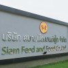 review Siam Feed and Food 1
