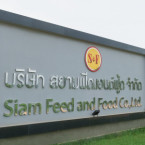 logo Siam Feed and Food